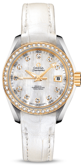 Omega Seamaster Aqua Terra Jewellery