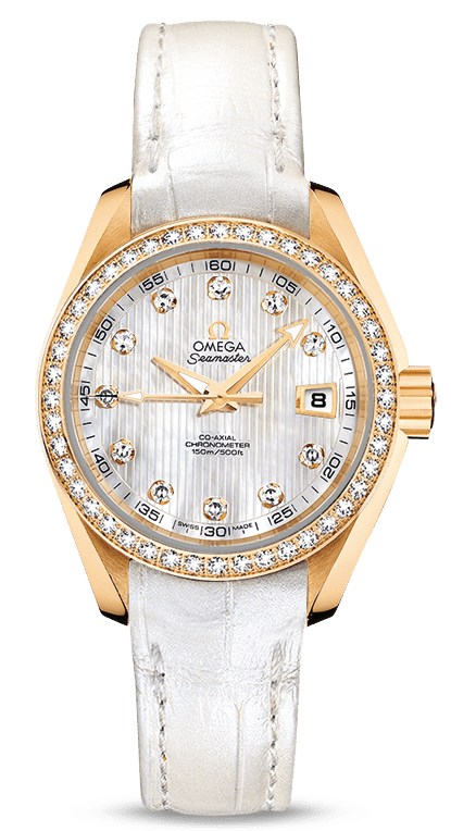 Omega Seamaster Aqua Terra Jewellery