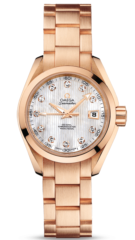 Omega Seamaster Aqua Terra Jewellery