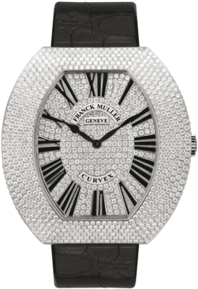 Franck Muller Infinity Curvex