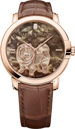 Harry Winston Midnight Automatic 42