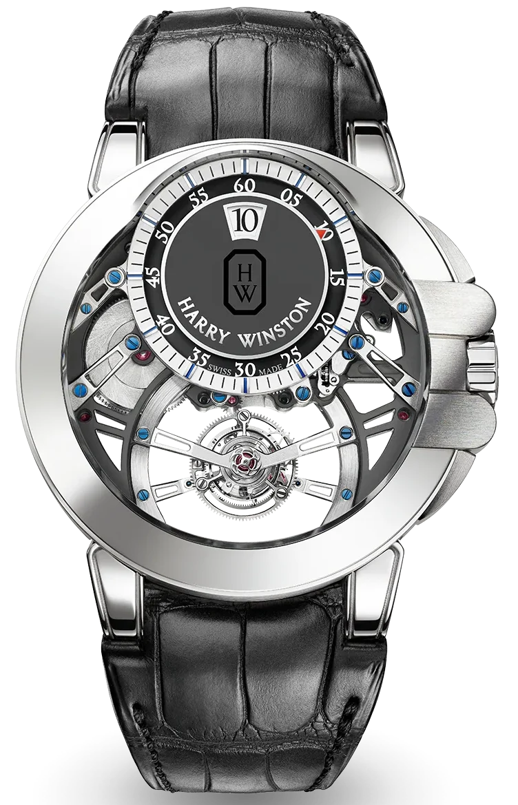 Часы harry. Harry Winston часы. Часы Harry Winston Ocean. Часы Гарри Винстон мужские. Гарри Винстон турбийон.