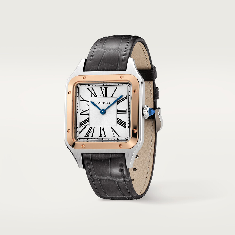 Cartier Santos Dumont Large