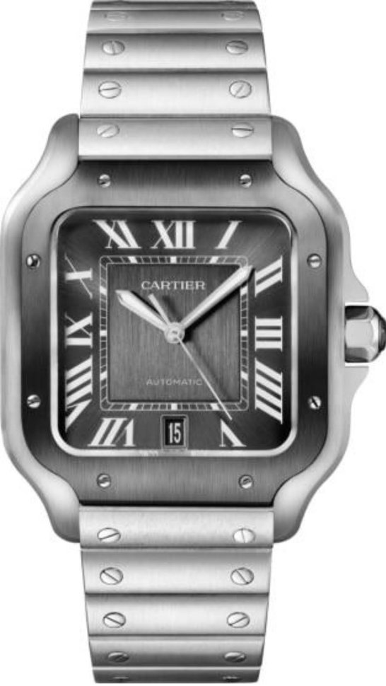 Cartier Santos de Cartier Large Automatic WSSA0037