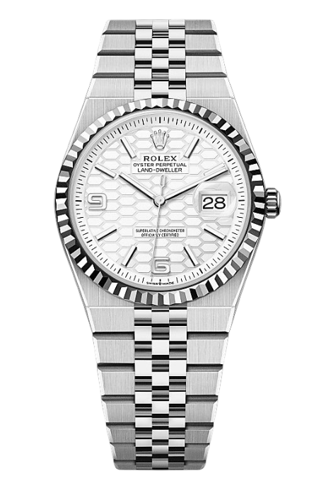 Rolex Land-dweller 36mm Steel and White Gold