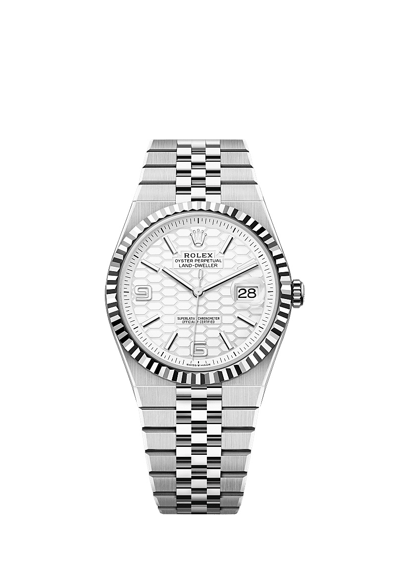 Rolex Land-Dweller Land-dweller 40mm Steel and White Gold