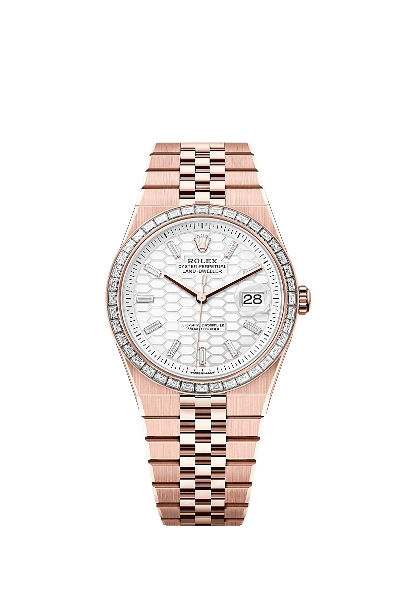 Rolex Land-Dweller Land-dweller 40mm Everose Gold