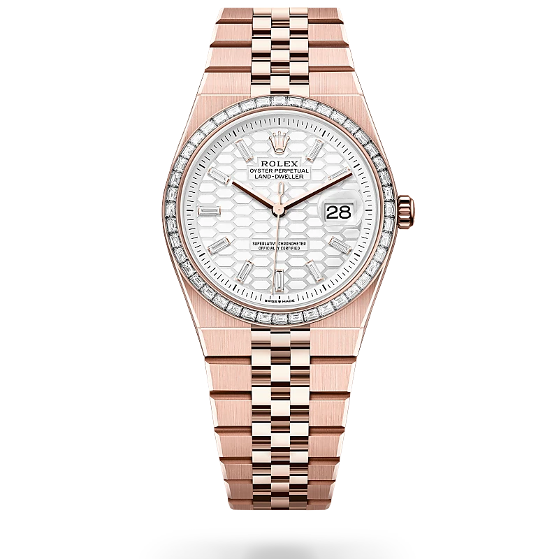 Rolex Land-Dweller Land-dweller 40mm Everose Gold