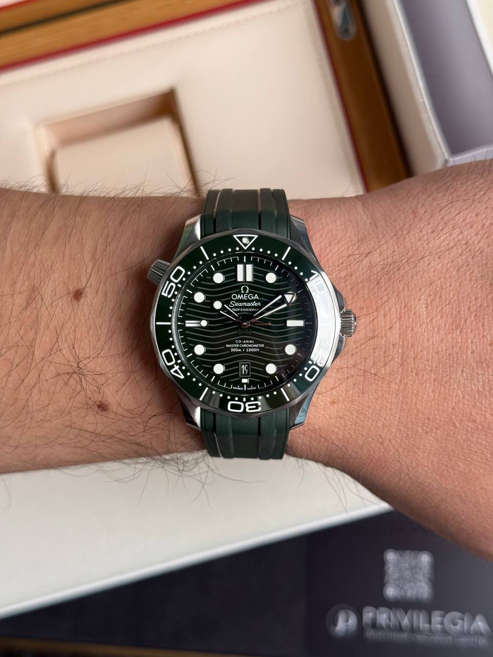 Wrist wearing a dark green Omega Seamaster diver's watch with a black dial and white markers, on a green strap.